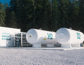 Hydrogen hubs backed by a pine forest