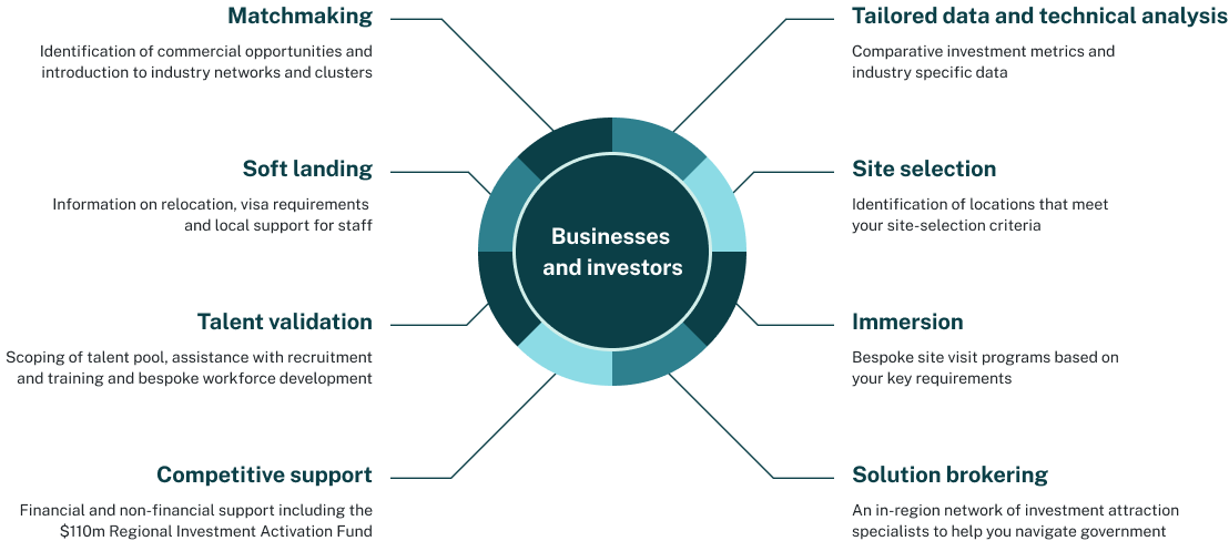 Infographic describing Invest NSW services.