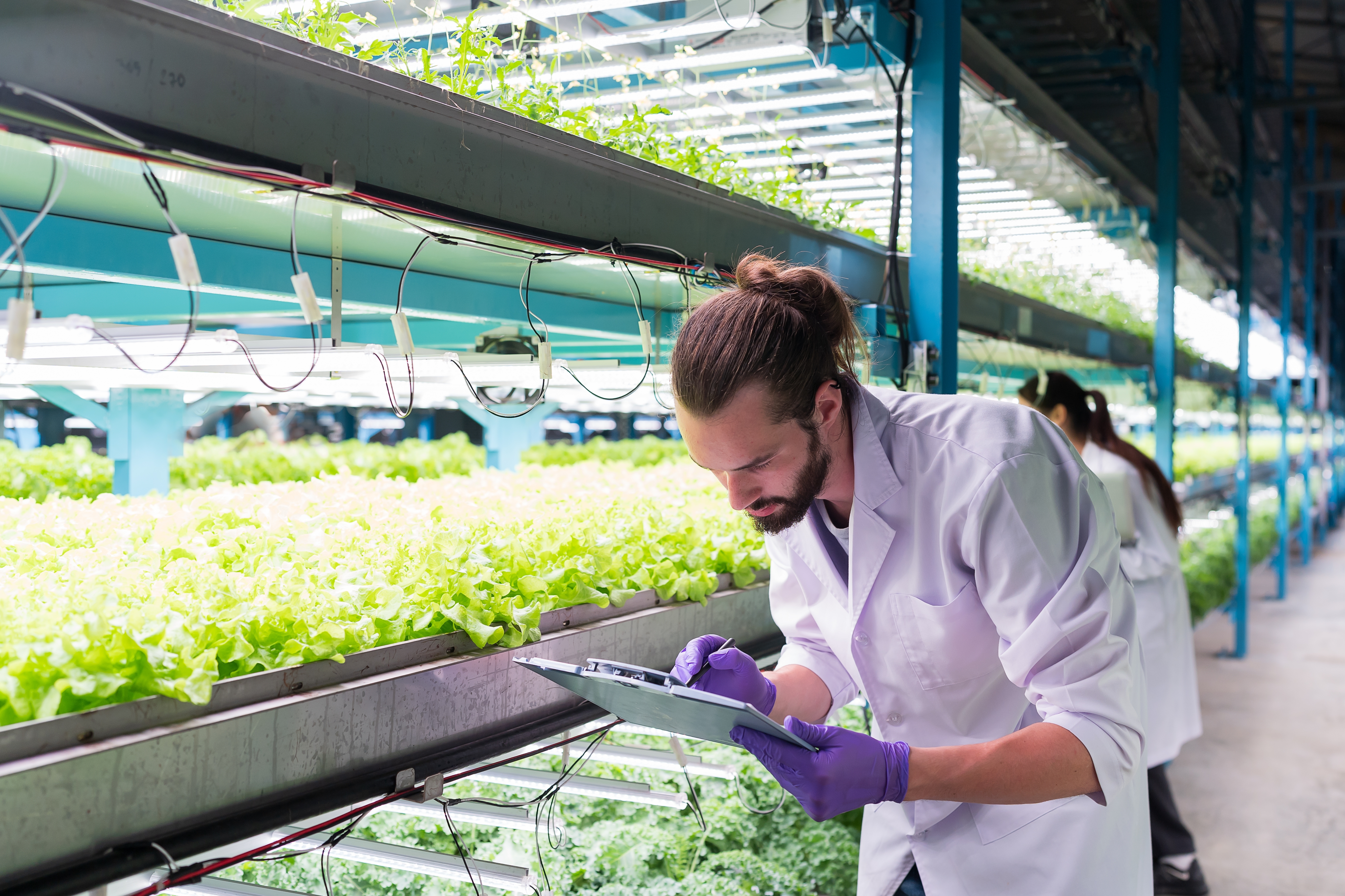 A man with long hair pulled into a bun wearing a white lab coat studies a clipboard with vertical rows of plants behind him