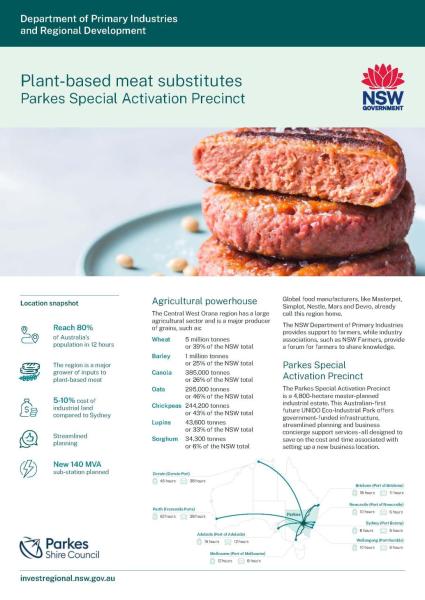 Parkes plant-based meat substitutes 